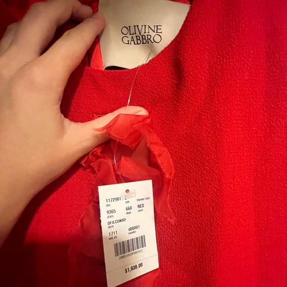 Olivine Gabbro - Red Chiffon Detail Sleeveless Wool Dress $1,830 - Picture 3 of 6